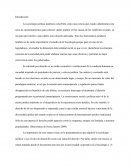 Sociologia Juridica y el Derecho