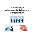 La obesidad, el sobrepeso, la diabetes, y la hipertensión