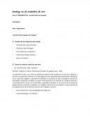 Actividad 3 Fase Organizativa “Conformación Equipos de Trabajo”