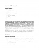 Método de extracción de papaína