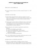 EXPERTO/A EN GESTION DE ACTIVIDADES DE OCIO Y TIEMPO LIBRE