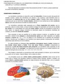 CONFORMACIÓN EXTERNA DE LOS HEMISFERIOS CEREBRALES, NÚCLEOS BASALES, DIENCÉFALO Y CORTEZA CEREBRAL.