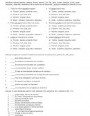 Parónimos / Homónimos / homófonos