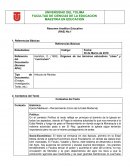 RAE RESUMEN ANALÍTICO EJECUTIVO