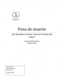 ¿islam terrorista? ¿Es hacerles un favor a los terroristas del islam?