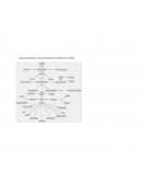 Mapa Conceptual BIBLIOGRAFÍA