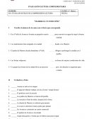 Lenguaje “MAMIRE EL ÚLTIMO NIÑO”