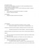 Las Plantas Sala de 2 años