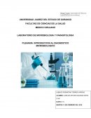 LABORATORIO DE MICROBIOLOGIA Y PARASITOLOGIA