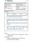 Actividad de matematicas Dibujo computarizado