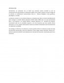 RESUMEN ADICCIONES INTRODUCCIÓN