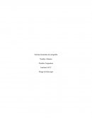 Cuales son las Normas generales de ortografia