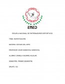 ¿Cuáles son los factores de motivación que podrían impedir un desarrollo optimo en una deportista elite de gimnasia en la temporada competitiva?