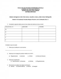 Repaso de anatomía humana. Página 1