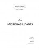 Microhabilidades INTRODUCCIÓN