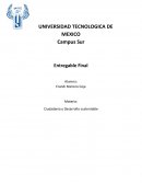 CIUDADANIA Y DESARROLLO SUSTENTABLE. MODELO DE ARCHIE CARROLL