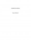 Ensayo sobre la motivación Introducción