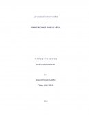Investigación de mercados ¿Cómo debe tomarse la decisión de investigar?