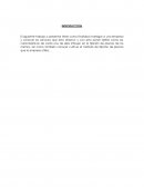 SERVICIOS COCESNA INTRODUCCION