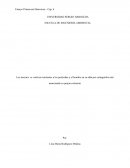 PRIMAVERA SILECIOSA ENSAYO INTRODUCCIÓN