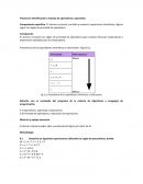 Práctica 8: Identificación y manejo de operadores y operando