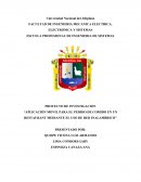 PROYECTO DE INVESTIGACION “APLICACIÓN MOVIL PARA EL PEDIDO DE COMIDO EN UN RESTAURANT MEDIANTE EL USO DE RED INALAMBRICO”