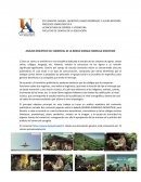 ANÁLISIS SEMIÓTICO DEL COMERCIAL DE LA BEBIDA GIORGIA ESMERALD MOUNTAIN