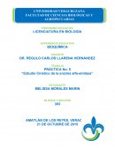 PRÁCTICA No. 5 “Estudio Cinético de la enzima alfa-amilasa”