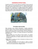 INGENIERIA ESTRUCTURAL Principios estructurales