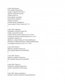 Create Table Persona