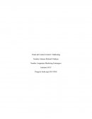 Control 1 marketing estrategico