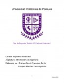 Plan de Negocios “Boletín UP Pachuca Financiera”