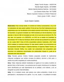 Expresión Verbal en el Ámbito Profesional