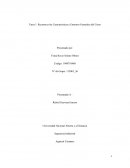 Reconocer las Caracteristicas y Entornos Generales del Curso