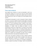 Primer ensayo Massota