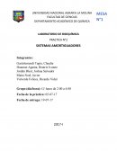 LABORATORIO DE BIOQUÍMICA PRACTICA N°2 SISTEMAS AMORTIGUADORES