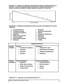Pregunta N° 1.- Ubique en el siguiente esquema (sobre la línea) los siguientes bienes y/o