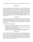 Enfermedad del Cultivo del Cacao( Monoliasis), en el Municipio de La Plata - Huila