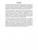 Los carbohidratos también son llamados hidratos de carbono o glúcidos