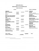 TREN AL SUR S.A DE C.V BALANCE GENERAL AL 31 DE DICIEMBRE DEL 2016