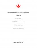 Tarea Académica 1 “Análisis de aguas importadas”