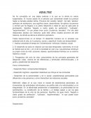 ADULTEZ Tiene 3 dimensiones