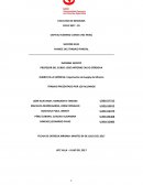 RUBRO DE LA EMPRESA: Importación de Supply de Minería