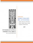 Estructuración del acto suicida