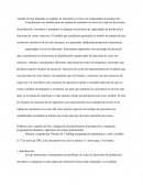 Tamaño de lote integrado en cadenas de suministro en serie con Capacidades de producción