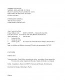 Creando modelos de negocio