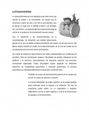 Como se da La Psicomotricidad