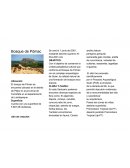 Bosque de Pómac se encuentra ubicado en el distrito de Pitipo