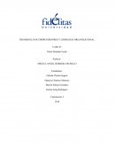 Ensayo 3 DESARROLLO DE EMPRENDEDORES Y LIDERAZGO ORGANIZACIONAL