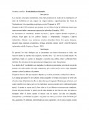 Frankliniella occidentalis